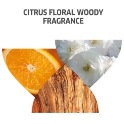 Wella Professionals Invigo Color Brilliance Mask Coarse 150ml -Pro Beauty Care Shop 544020 3