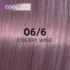 Wella Professionals Shinefinity Zero Lift Glaze - 010/6 Violet 60ml -Pro Beauty Care Shop 816289 swatch 1
