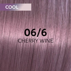 Wella Professionals Shinefinity Zero Lift Glaze - 09/81 Cool Platinum Opal 60ml -Pro Beauty Care Shop 816289 swatch