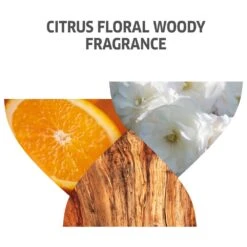 Wella Professionals Invigo Color Brilliance Shampoo Course 500ml 10 Wella Professionals Invigo Color Brilliance Shampoo Course 500ml -Pro Beauty Care Shop 816867 3